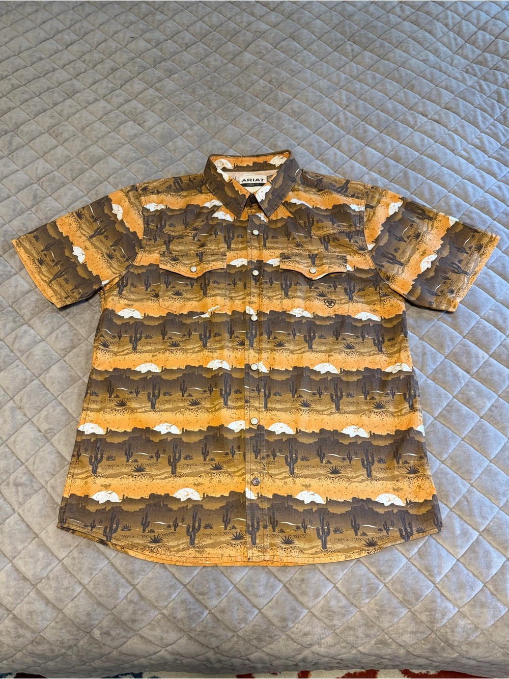 Ariat Provisions Desert Cactus Pearl Snap Retro Fit